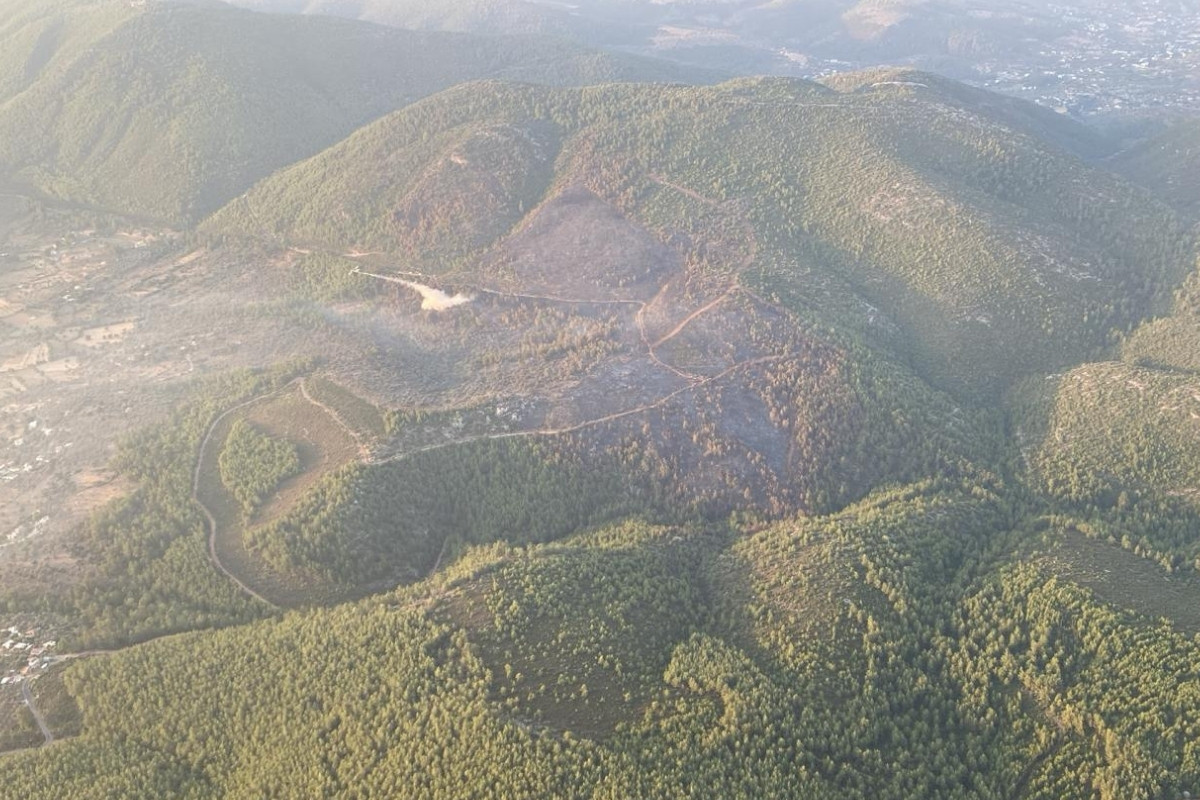 Bodrum’daki orman yangını kontrol altına alındı